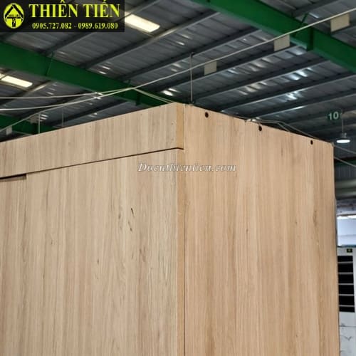 Tủ quần áo 3 cánh MDF (4)