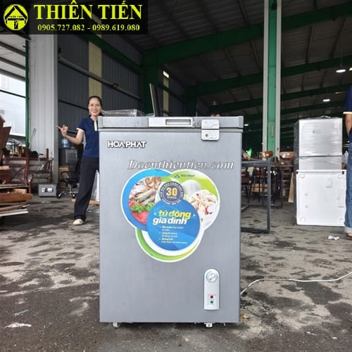 Tủ đông Hòa Phát (1)