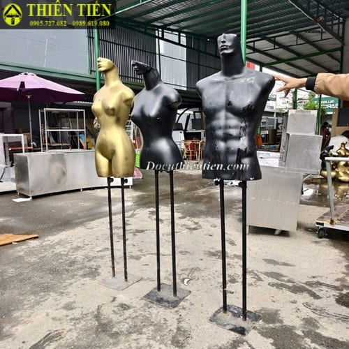 Manacanh chân sắt (1)