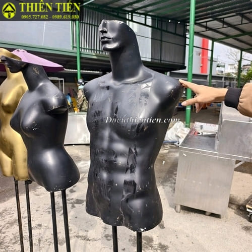 Manacanh chân sắt (2)