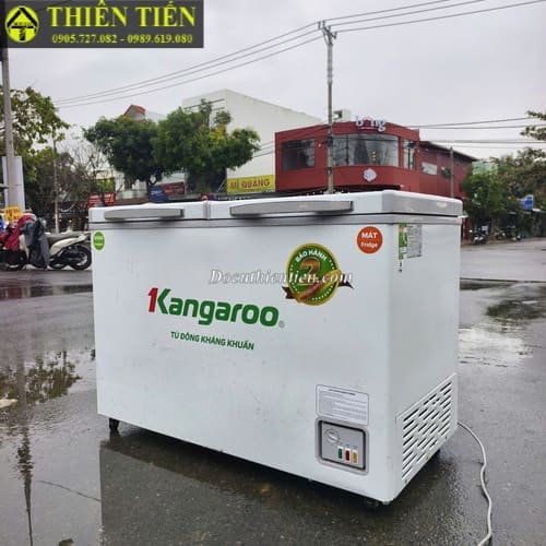 tủ đông kang (1)
