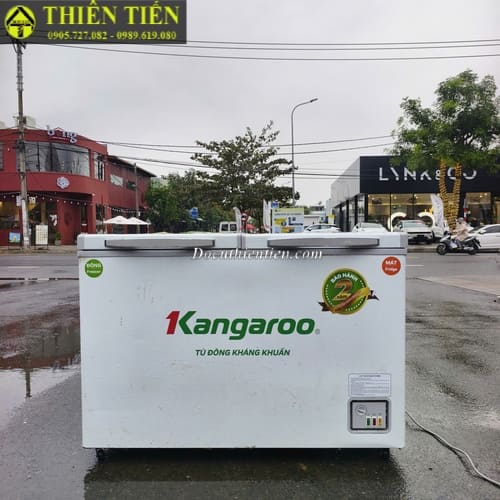 tủ đông kang (2)